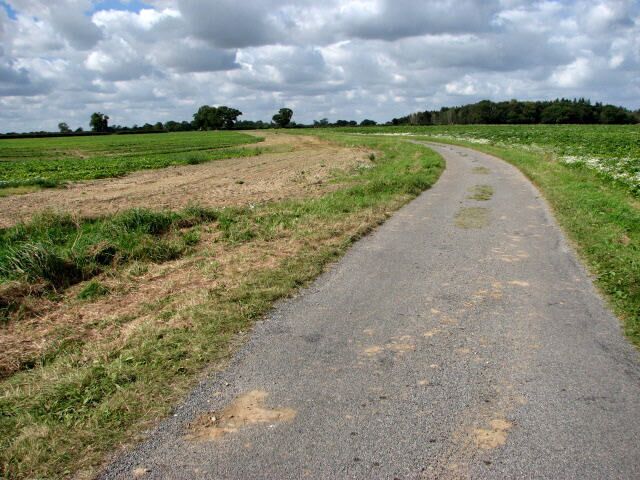 The long drive to Buxton Road