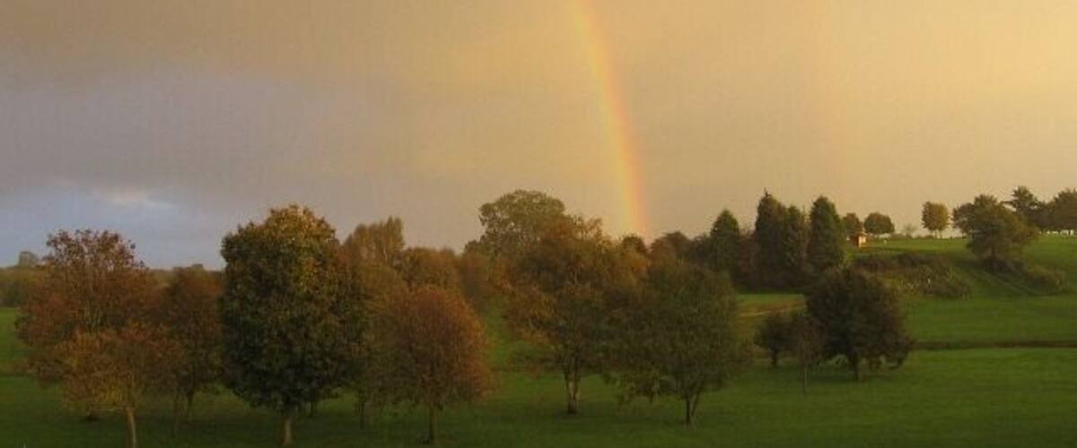 A Pot Of Gold Should lie at the end of the rainbow over Barnham Broom Golf Course.