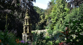 Plantation gardens in Norwich. Grade || English heritage, restored Victorian town gardens. #lovemytown