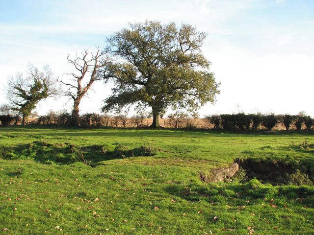 View across farm bridge. See also > 1061524. The bridge crosses a stream traversing this cattle pasture. A narrow and not very well defined path leads past here, continuing where Granary Lane ends, at a gate into this pasture > 1061478. Granary Lane doubles as a public footpath, turning off Market Street in westerly direction > 1061413. It peters out into a narrow path further to the southwest > 1061469 - 1061485 which emerges on a farm track by The Street in St James > 1061613.