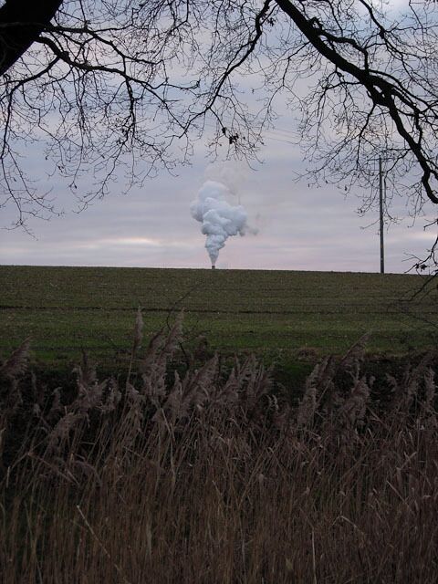 Winter arable crop Near Cantley, with the chimney of the sugar factory reaching over the horizon.