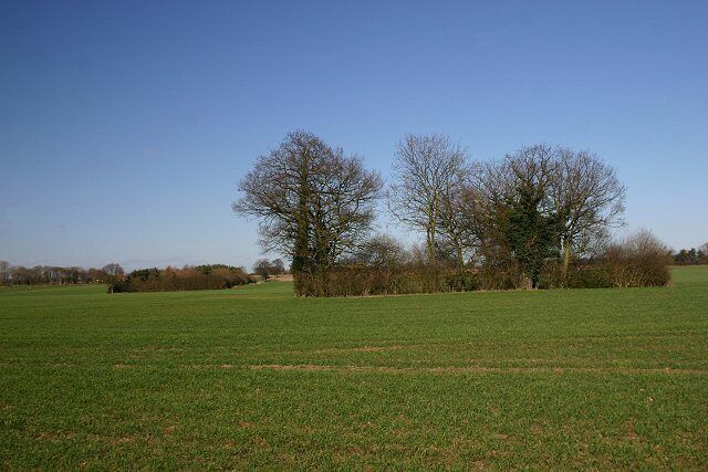 Farmland near North Lopham Looking north from the road between North Lopham and East Harling, the trees in the middle of the field hide a pond.