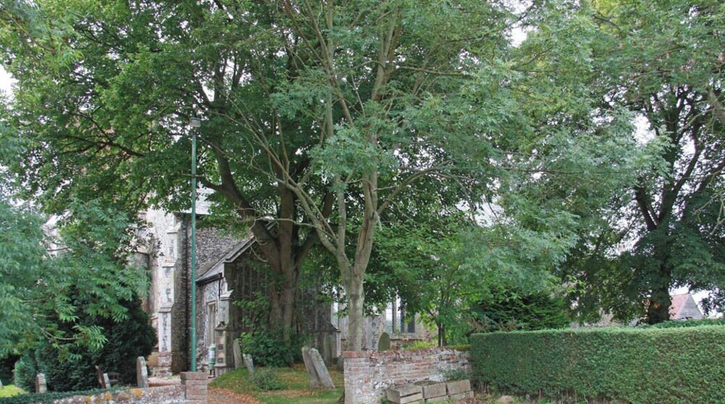 St Edmund, Costessey