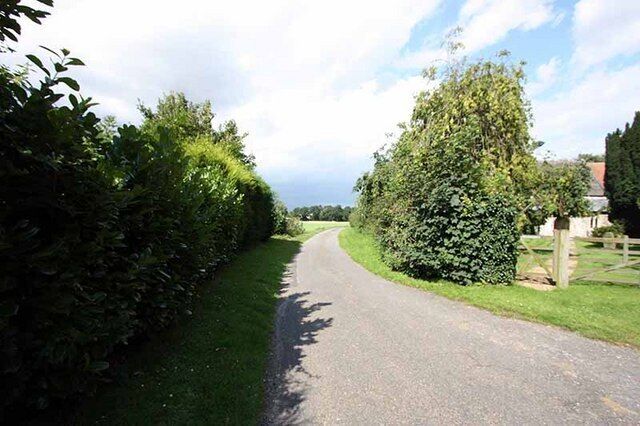 Road past Holy Trinity Church, Scoulton, Norfolk