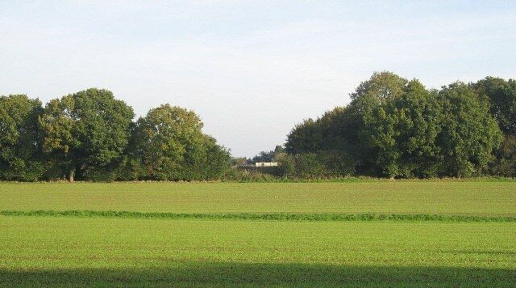 Beside The Road To Greensgate Close to Weston Longville.