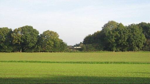 Beside The Road To Greensgate Close to Weston Longville.