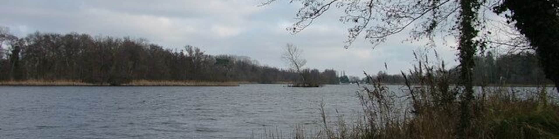 The western part of South Walsham Broad. Photographed from Fairhaven Gardens. The channel through to the eastern part of the broad is visible where the foreground grass meets the horizon.