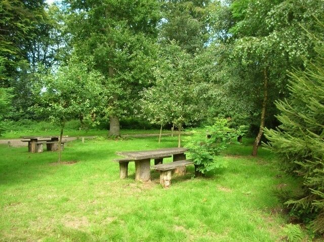 Picnic benches In the car park of Felbrigg Hall.