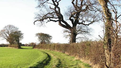 A hedge-lined path. This public footpath starts by a former crossing cottage on the Waveney Valley Line > 1595953 - 1595964 west of the A140 (Norwich Road), leading westwards to Tivetshall St Margaret.