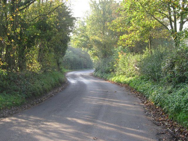 The Road To Barnham Broom From Weston Green.