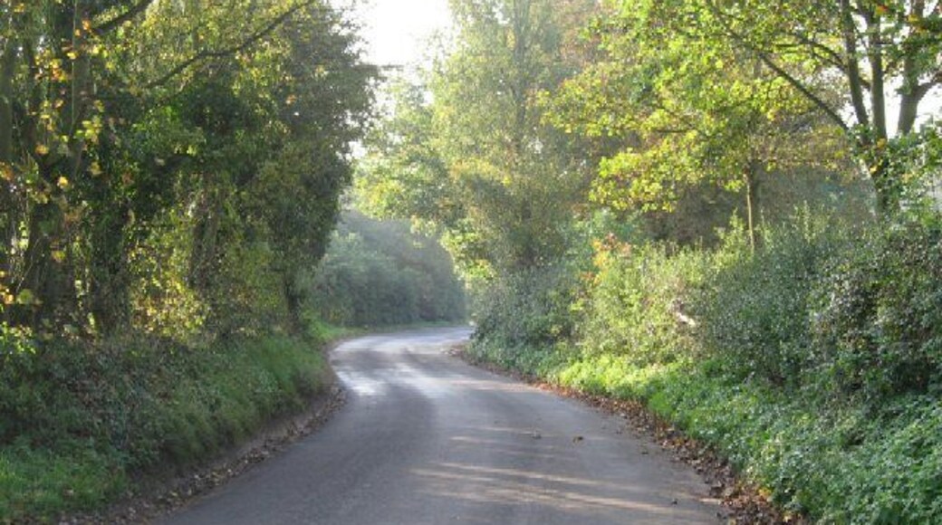 The Road To Barnham Broom From Weston Green.