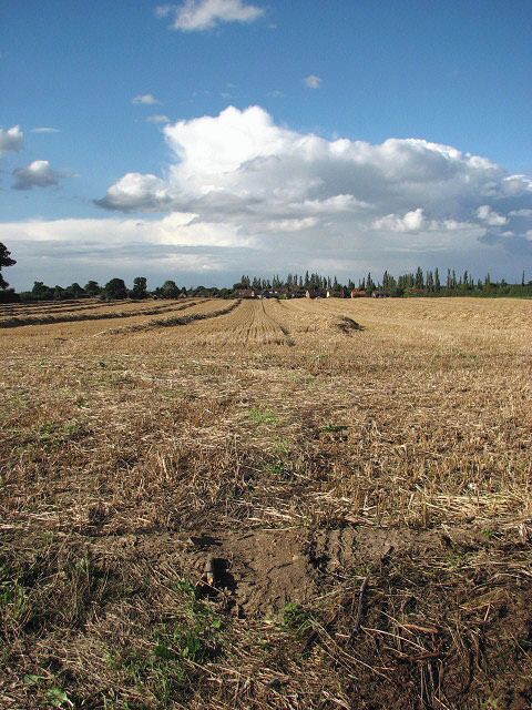 A large field This field is located beside Smee Road; it extends all the way to the outskirts of the village of Great Plumstead further to the north (in the adjacent grid square), which can be seen in the distance. The straw is still waiting to be baled.
