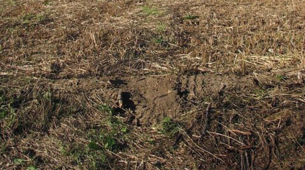 A large field This field is located beside Smee Road; it extends all the way to the outskirts of the village of Great Plumstead further to the north (in the adjacent grid square), which can be seen in the distance. The straw is still waiting to be baled.