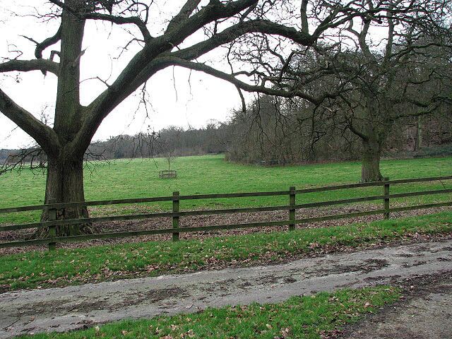 View across cattle pasture The woodland seen at right is part of Longdell Hills.