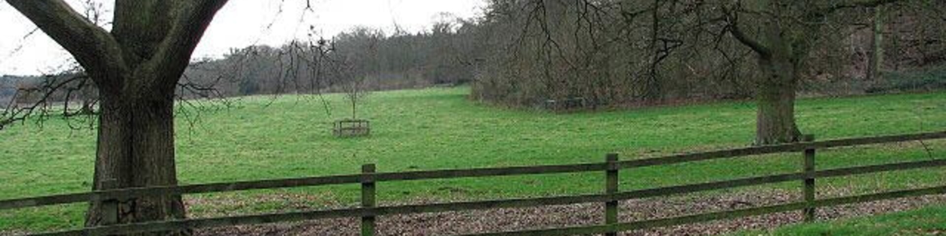 Un paisaje rural con un árbol grande, una valla y un campo cubierto de hierba.