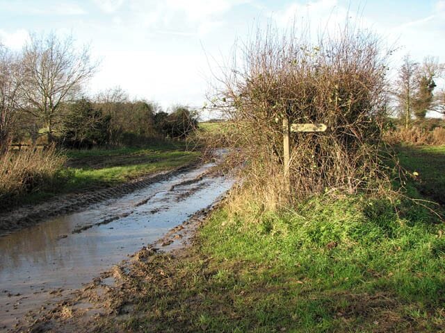 The start of a footpath. The sign is here, but not the path. There should be a path leading diagonally across this field to a stile in the corner > 1061557. It is possible - provided one does not mind getting very muddy shoes - to walk along the field's edge in order to reach the opposite corner, and from there over the stile and through a cattle pasture which is traversed by an unnamed stream, crossed by a farm bridge > 1061524. A narrow and not very well defined path leads through it, continuing where Granary Lane ends, at a gate into this pasture > 1061478. Granary Lane doubles as a public footpath, turning off Market Street in westerly direction > 1061413. It peters out into a narrow path further to the southwest > 1061469 - 1061485 which, according to the map, emerges on a farm track (seen at left) by The Street in St James > 1061613.