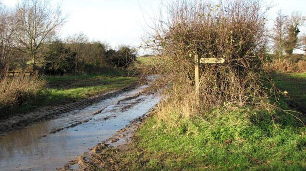 The start of a footpath. The sign is here, but not the path. There should be a path leading diagonally across this field to a stile in the corner > 1061557. It is possible - provided one does not mind getting very muddy shoes - to walk along the field's edge in order to reach the opposite corner, and from there over the stile and through a cattle pasture which is traversed by an unnamed stream, crossed by a farm bridge > 1061524. A narrow and not very well defined path leads through it, continuing where Granary Lane ends, at a gate into this pasture > 1061478. Granary Lane doubles as a public footpath, turning off Market Street in westerly direction > 1061413. It peters out into a narrow path further to the southwest > 1061469 - 1061485 which, according to the map, emerges on a farm track (seen at left) by The Street in St James > 1061613.