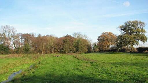 Late November sunshine. This view was taken in a cattle pasture which is traversed by an unnamed stream, crossed by a farm bridge > 1061524. A narrow and not very well defined path leads past here, continuing where Granary Lane ends, at a gate into this pasture > 1061478. Granary Lane doubles as a public footpath, turning off Market Street in westerly direction > 1061413. It peters out into a narrow path further to the southwest > 1061469 - 1061485 which emerges on a farm track by The Street in St James > 1061613.