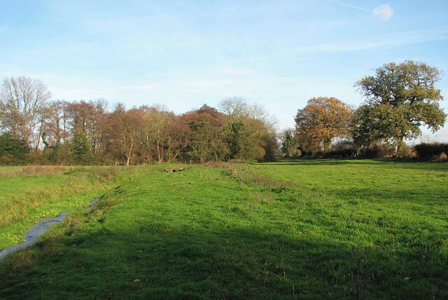 A grassy field with a stream, trees, and a clear sky.
