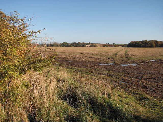 Sunny Sunday in early November. The trees and hedgerows display a pleasing range of autumn colours and some fields are still waiting for the plough. This view was taken from the path to Oxnead Hall which turns off the unnamed road > https://www.geograph.org.uk/photo/1039383 that links Burgh next Aylsham with Skeyton and Swanton Abbott, further to the east. It leads across a stubble field in southwesterly direction, crosses a farm road > https://www.geograph.org.uk/photo/1039396 and from there continues in southwesterly direction, following a field edge > https://www.geograph.org.uk/photo/1039444 all the way to Oxnead Hall > https://www.geograph.org.uk/photo/456378 and adjoining farm > 1039525.