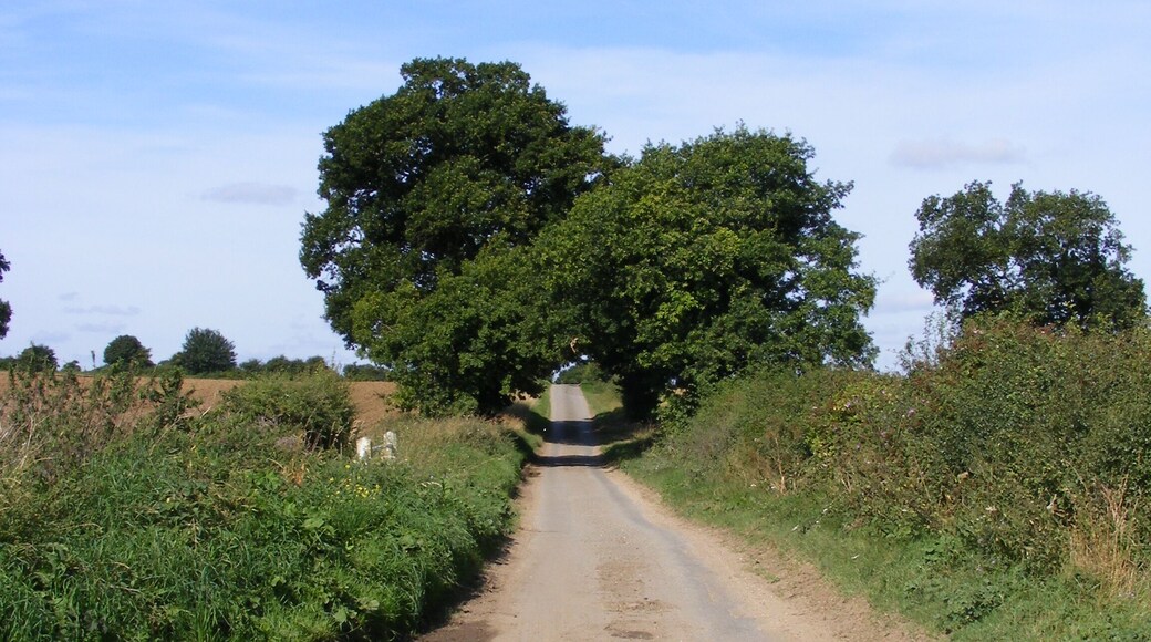 Transport Lane Transport Lane runs from the Hales Green to the Loddon-Bungay road. At this point the stream running north goes beneath the road and the white railings at the south end of the bridge can just be made out in the undergrowth.