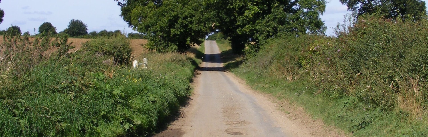 Transport Lane Transport Lane runs from the Hales Green to the Loddon-Bungay road. At this point the stream running north goes beneath the road and the white railings at the south end of the bridge can just be made out in the undergrowth.