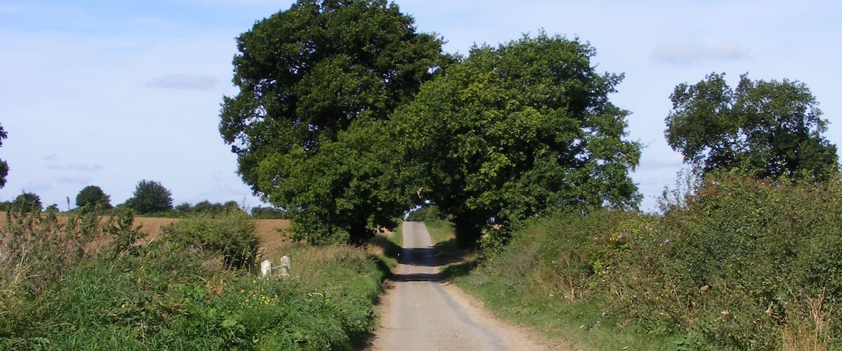 A rural road flanked by greenery and trees.