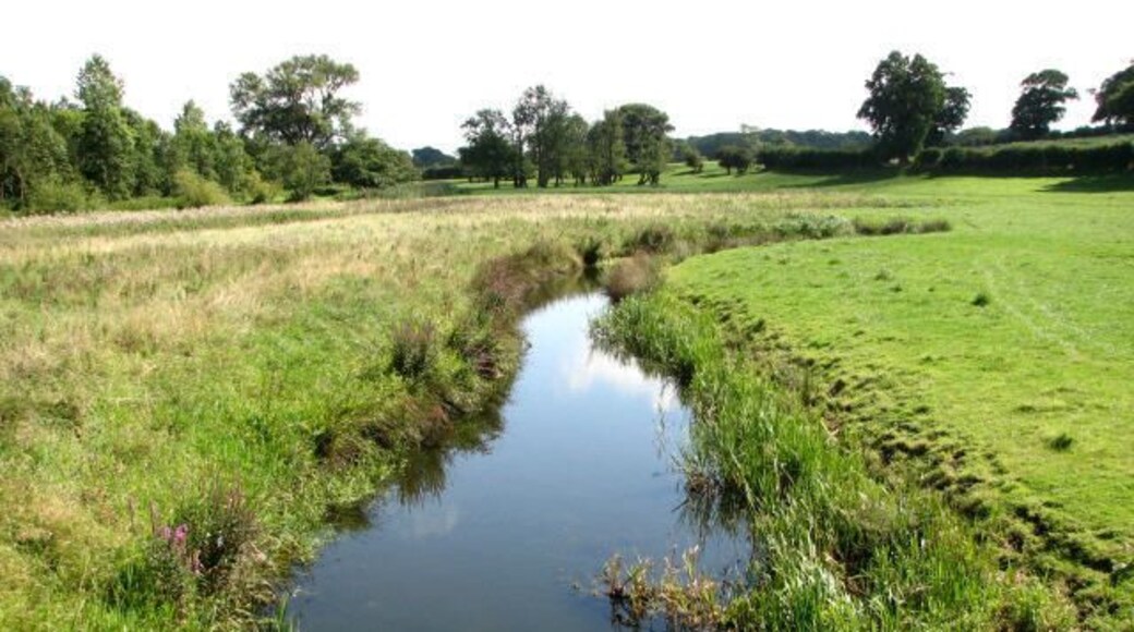 View south from Ingworth Bridge towards Little Cubbitt's Carr
