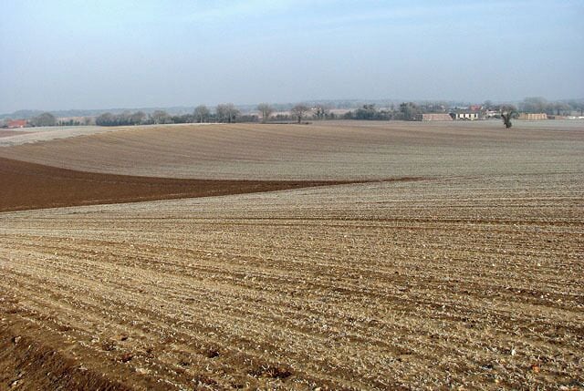 Undulating fields Not all of Norfolk is flat - the landscape in North Norfolk was formed during the last ice age, leaving distinctive topographical features such as the steep northern slope and the more gentle southern face of the Cromer Ridge with its outlying spurs, hills and undulations. This view was taken in northeasterly direction, across frozen fields. The fields with winter crops growing are covered with frost, whereas the ploughed fields are not white. Beech Farm (in adjacent grid square) can be seen in the background (at right) and Willow Farm can just be glimpsed at left.