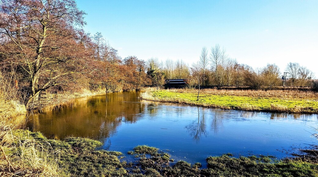 Marston Marsh is on the outskirts of Norwich. A lovely nature reserve alongside the River Yare. Wellies required!