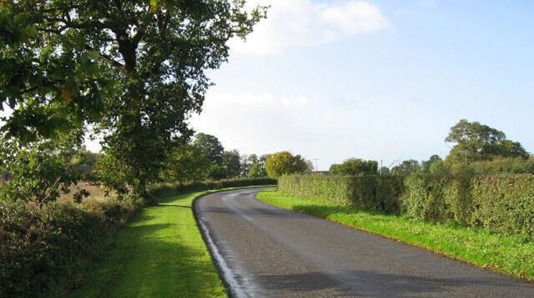 The Road To Barnham Broom From Barford.