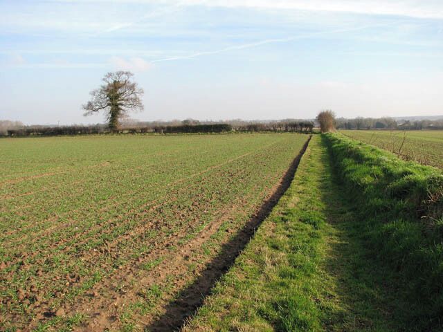 Skirting a field's edge This public footpath links Banningham Road with North Walsham Road, further to the east.