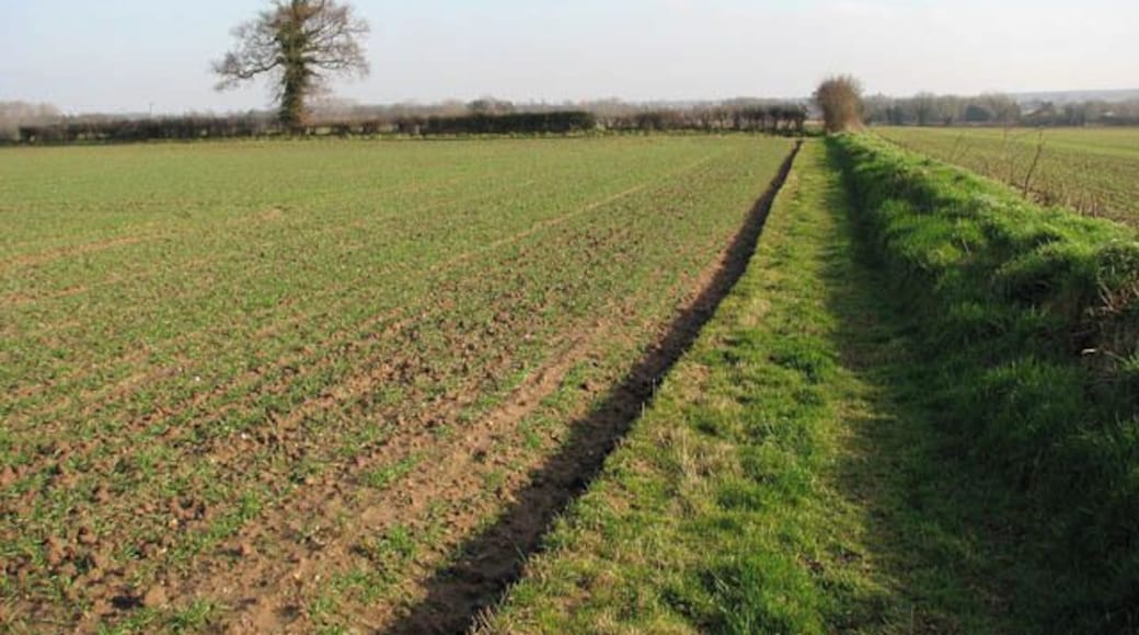 Skirting a field's edge This public footpath links Banningham Road with North Walsham Road, further to the east.