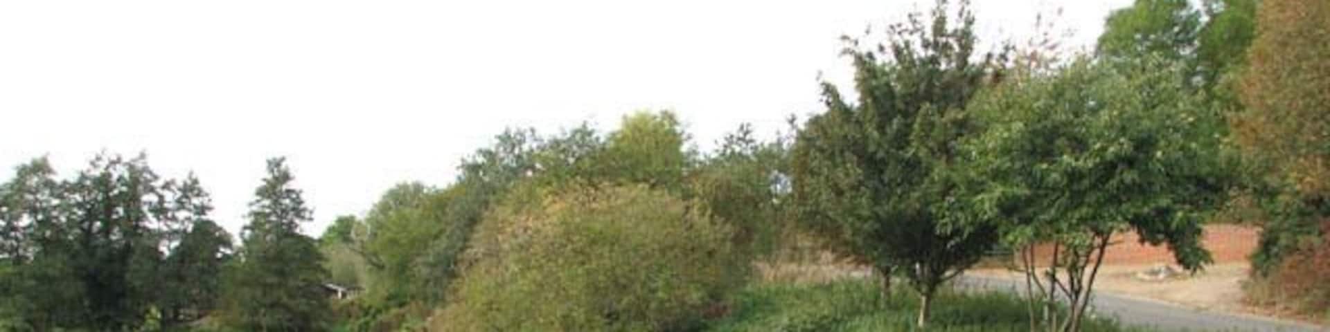 View south-west (upstream) along the River Tas. The River Tas rises near Carlton Fen (near New Buckenham) and then flows northwards for approximately 20 miles before joining the River Yare at Trowse - just south of Norwich. The Tas valley contains many interesting historical sites including an Iron Age hill fort > 1355699 at Tasburgh, the old Roman settlement of Venta Icenorum > 1352695 - now Caistor St Edmund - and the site of a woodhenge > 1391552 at Arminghall. During Roman times, the river was an important resource for the people of Venta Icenorum. Over the centuries, the Tas has also been visited by two of England's finest poets: William Wordsworth in 1790, and Philip Larkin.
