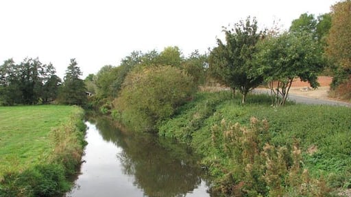 View south-west (upstream) along the River Tas. The River Tas rises near Carlton Fen (near New Buckenham) and then flows northwards for approximately 20 miles before joining the River Yare at Trowse - just south of Norwich. The Tas valley contains many interesting historical sites including an Iron Age hill fort > 1355699 at Tasburgh, the old Roman settlement of Venta Icenorum > 1352695 - now Caistor St Edmund - and the site of a woodhenge > 1391552 at Arminghall. During Roman times, the river was an important resource for the people of Venta Icenorum. Over the centuries, the Tas has also been visited by two of England's finest poets: William Wordsworth in 1790, and Philip Larkin.