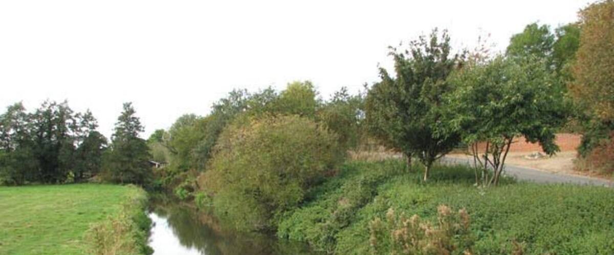 A narrow waterway flanked by grassy banks and trees.