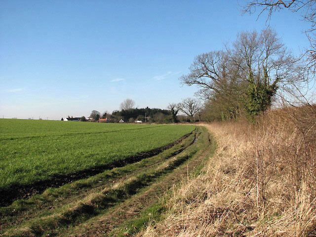 View west along field boundary Toad Lane is hidden by the hedge at right.