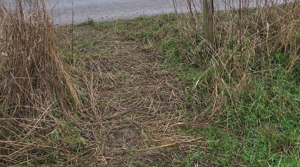 Footpath Sign Footpath sign near to Kenninghall, Norfolk
