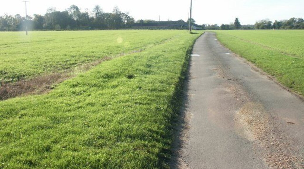 Road to Wramplingham Hall.