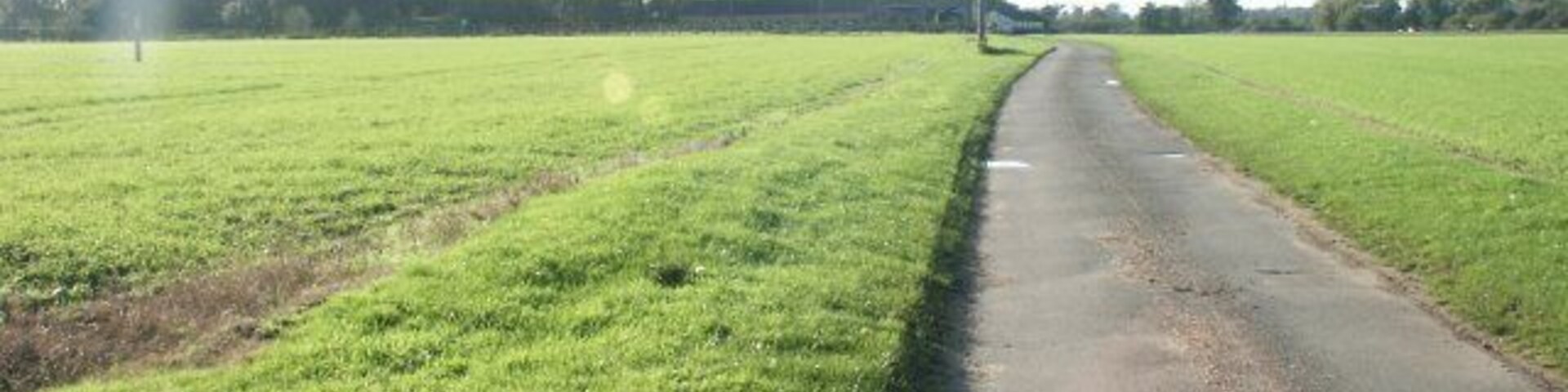 Road to Wramplingham Hall.