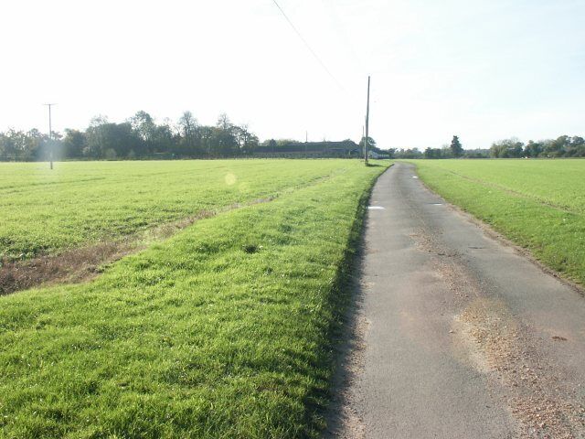 A rural road flanked by green fields under a clear sky.