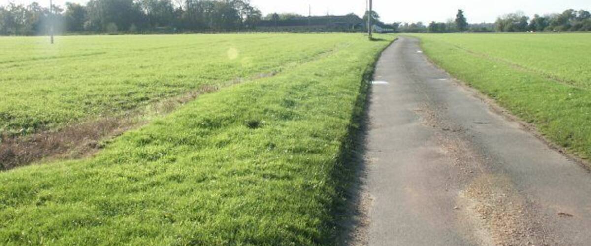 A rural road flanked by green fields under a clear sky.