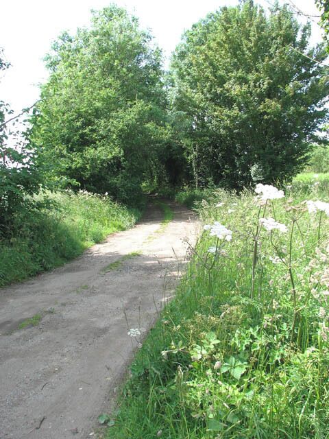 View west along Buttle's Lane