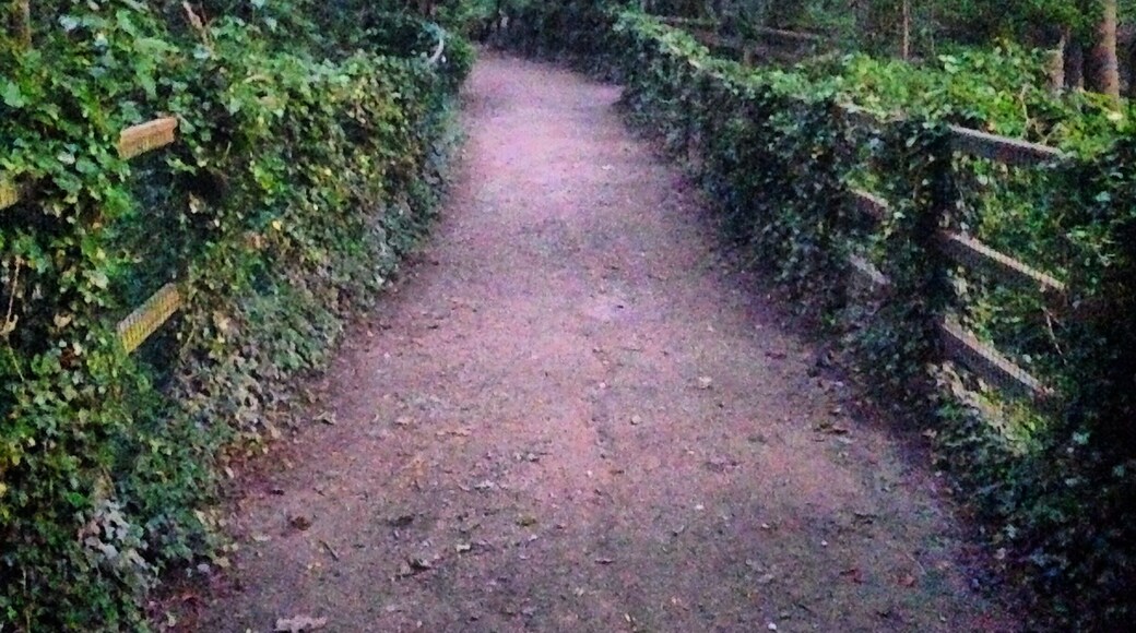 Nature Preserve, Hessle, East Riding of Yorkshire, England.