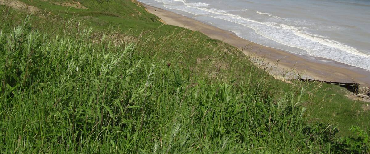 Looking westwards along the coast towards Overstrand from the cliff top in the village of Trimingham, Norfolk, United Kingdom.