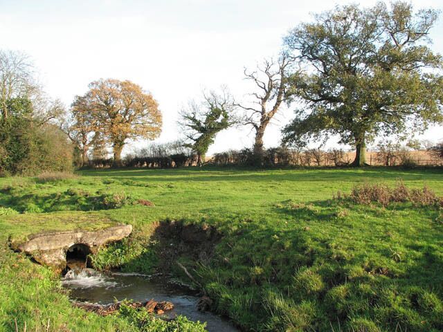 A tranquil pastoral scene. This view was taken in a cattle pasture which is traversed by an unnamed stream, crossed by a farm bridge > 1061524. A narrow and not very well defined path leads past here, continuing where Granary Lane ends, at a gate into this pasture > 1061478. Granary Lane doubles as a public footpath, turning off Market Street in westerly direction > 1061413. It peters out into a narrow path further to the southwest > 1061469 - 1061485 which emerges on a farm track by The Street in St James > 1061613.