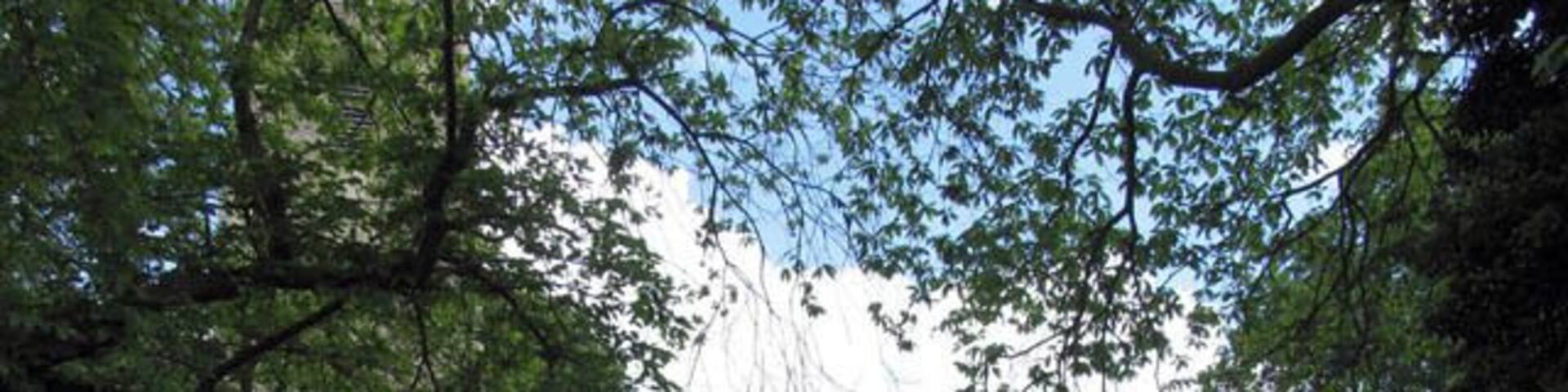 St Michael & All Angels, Barton Turf, Norfolk