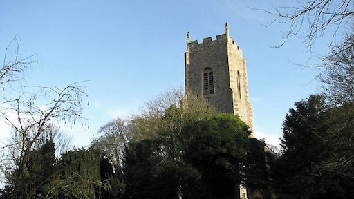 The church of St Peter and St Paul Viewed from the churchyard. This church is surrounded by tall trees and hence difficult to photograph. When locked, a key is readily available at The Vicarage, next door. For more detailed information see http://www.norfolkchurches.co.uk/barnhambroom/barnhambroom.htm