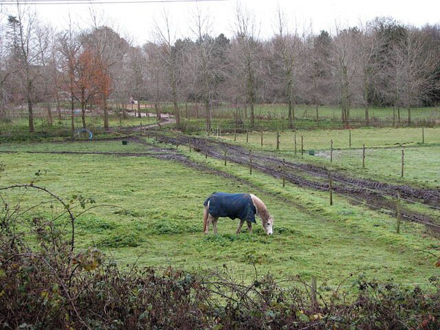 Pastures beside the stream Horses populated the pastures between Meadows Farm and Blackwater Beck. This view was taken from the Weavers Way. This section of the Weavers Way follows the dismantled railway trackbed of the former Midland and Great Northern Joint Railway. The Weavers Way is a long-distance footpath which links Cromer with Great Yarmouth; the path has a length of 90 kilometres and passes through the Norfolk Broads.