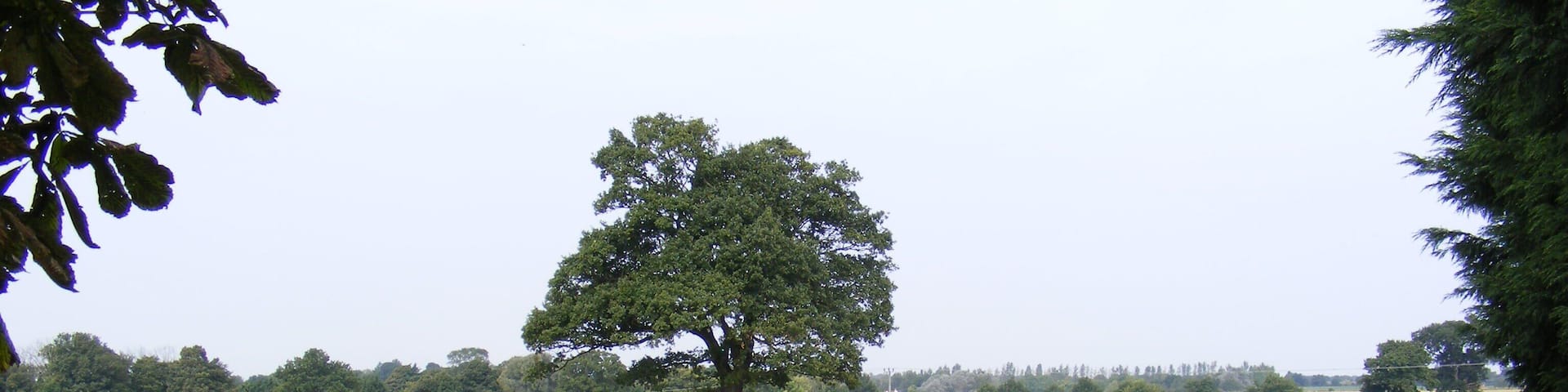 Arable Field,Blofield